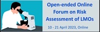 Open-ended Online Expert Forum on Risk Assessment and Risk Management